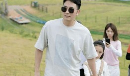 林生斌再婚老婆爆料视频,揭秘婚姻背后的真相